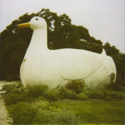 The Big Duck, Flanders, N.Y., Thursday, August 12th